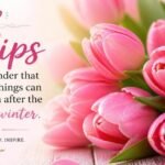 tulip quotes for instagram